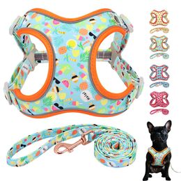 Sets New Fashion Nylon Dog Harness Leash Set Reflective Fruit Printed Dog Vest Leash For Medium Large Dogs French Bulldog Harness