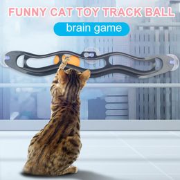 Toys Cat Toy Cat Track Window Suction Cup Ball Cat Catching Plastic Table Tennis New Funny Educational Interactive Toy