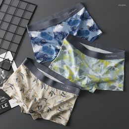 Underpants 2023 Cotton Breathable Comfortable Men's Flat Pants Youth Fashion Sexy Underwear