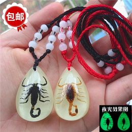 Pendant Necklaces Real Insect Good Necklace On The Price Of Male And Female Lovers Creative Lettering Jewellery Luminous Scorpion