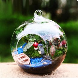 Terrarium Landscape Glass ransparent Ball Shape Clear Hanging Glass Vase Flower Plants Terrarium