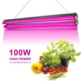 Full Spectrum Grow Lights For Greenhouse Phyto Lamp For Flowers Indoor House Hydroponic Plant Light Growth Indoor