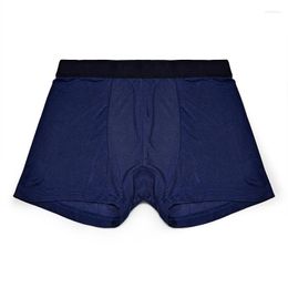 Underpants 2023 Real Silk Panties Men Underwear Man High Quality Brand Natural Fabric