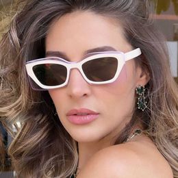 2022 Fashion Unique Cat Eye Sunglasses Women Brand Designer Vintage Beige Sun Glasses Female Men Simple Shades De Sol 0508