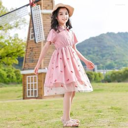 Girl Dresses Summer Preppy Style Dress For Girls Pink Colour Clothing Children School Sport Cotton Kids Casual Turn Down Collar Costume 3-12T