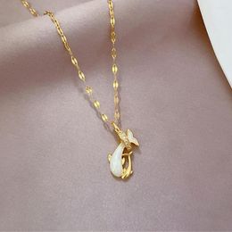 Pendant Necklaces Blue Dolphin Mom Baby Stainless Steel Chain Necklace For Women Mother's Day Gift Luxury Designer Jewellery Collares Para