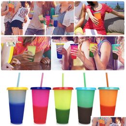 Mugs Colorf 700Ml Temperature Changing Cup Plastic Insated Drinking Tumbler With Lids And Sts Magic Coffee Mug Water Bottle 08 Drop Dh6Ab