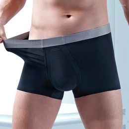 Underpants Mens Modal Boxer Shorts 3D Penis Pouch Slip Homme Panties Seamless Silk Underwear Cuecas Boxershorts Trunks 4XL