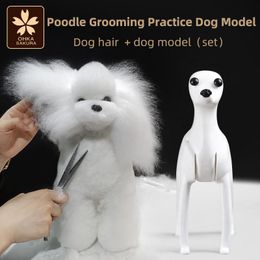 Toys Poodle pet simulation hair beauty fake dog model Practise dog standard poodle whole body fake hair