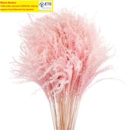 Pampas Grass Thinker Colorful Natural Light Pink Wedding Pampas Flowers Valentines Day Gift Natural Dried Reed Flower Bouquets White