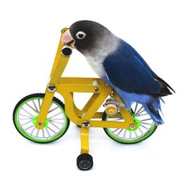 Training Pet Bird Training Toys Parrot Intelligence Toy Puzzle Bicycle Toy for Parrots and Birds Trick Tabletop Toys S/L