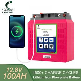 EU Stock ! 12v 100ah Lithium Iron Phosphate Battery Pack Portable with Charger Rechargeable Batteries Outdoor Camping