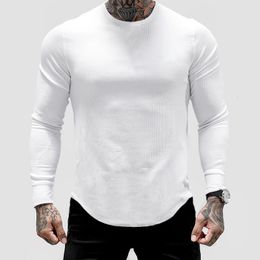 Men's T-Shirts Men Sweater Long Sleeve Tshirt Solid Color Bodybuilding Autumn Spring Casual Fashion Workout Shirt Pullover 230509