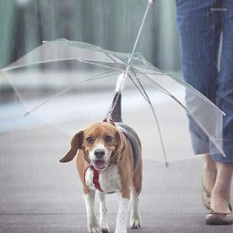 Dog Apparel Selling Pet Umbrella Transparent Portable Built-in Leash Puppies Cat Raincoat Small And Rain Gear