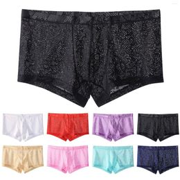 Underpants Mens Lace Transparent Boxer Shorts With Low Waist Breathable Underwear Rendy Youth Pants Outfit