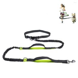 Dog Collars ZOOBERS Hand Free Lead Walking Belt Ajustable Leash Waist Pet With Retractable Bungee Reflective