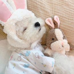 Toys INS New Cute Rabbit Squirrel Sleeping With Pet Plush Toy Pet Interactive Fun Sounding Dog Toy Puppy Chihuahua