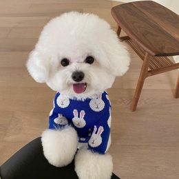 Sweaters INS Korea Fashion Chihuahua Dog Clothes Cute Rabbit Print Small Dogs Sweater XS Cat Clothes