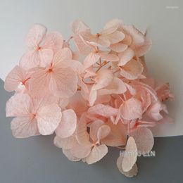Decorative Flowers Big Petals Macrophylla Hydrangea Preserved Flower DIY Earrings And Scented Candles Material For Gutta Percha Resin Home