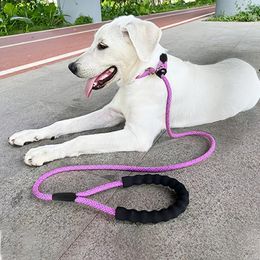 Dog Collars Pet Professional Training P Rope Chain Explosion-proof Punching Small And Medium-sized Dogs