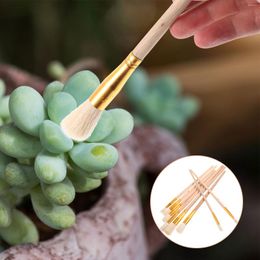 Decorative Flowers 8pcs Practical Garden Outdoor Tool Useful Fruit Tree Pollination Yard Pollinator