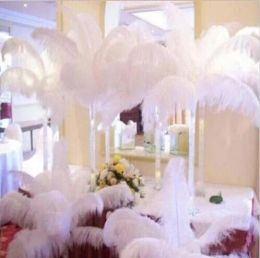 200 pcs Per lot White Ostrich Feather Plume Craft Supplies Wedding Party Table Centerpieces Decoration GB834