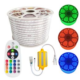 AC110V RGB Led Strip Lights,Flexible RGB Led Lights Neon Rope IP65 Waterproof Neon Flex Cuttable Silicone 16 Color Changing with Remote for Party DIY usalight