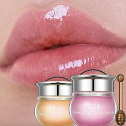 Lip Gloss Cherry Blossom Honey Moisturising Anti-wrinkle Blam Mask Natural Unisex Oil Nourishing Fade Lines Lipstick Care