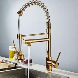 Kitchen Faucets Golden Chrome Spring Pull Down Faucet Dual Spouts 360 Rotation Single Handle Mixer Tap Two Outlets Taps