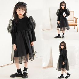 Girl Dresses Toddler Girls Long Sleeve Dress Solid Casual Cool Mesh Tulle Princess Winter Fall