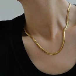 Chains Stainless Steel Necklace For Women Gold Colour Simple Style Collarbone Chain Hip Hop Jewellery Female