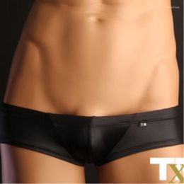 Underpants BRAND Mens Boxer Shorts Underwear Boxers Man Sexy TM Short Low Rise