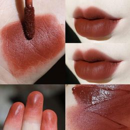 Lip Gloss 6 Colors Velvet Matte Air Waterproof Long Lasting Red Liquid Lipsticks Tint Makeup Cosmetic Moisturizing Glaze