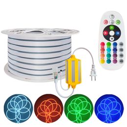 AC110V RGB Led Strip Lights,Flexible RGB Led Lights Neon Rope IP65 Waterproof Neon Flex Cuttable Silicone 16 Colour Changing with Remote for Party DIY crestech