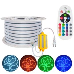 RGB LED Strip Light,AC 110-120V Flexible Waterproof Multi Colours Multi-Modes Function Dimmable SMD5050 LED Rope Light Remote for Home Office Building oemled