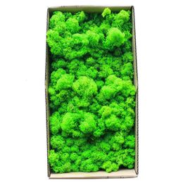 Decorative Flowers Wreaths 1500g Simulation Plants Eternal Life Moss Garden Home Decor Wall DIY Flower Material Mini Micro Landscape Fake Gift 230510