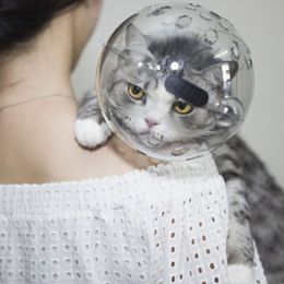 Crates de gato abriga o focinho capacete de capacete claro máscara de limpeza de antibite respirável para aparar as unhas de gatinho adequado s pequeno cães de segurança 230510