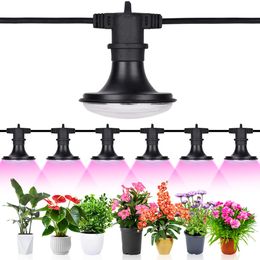 Outdoor LED Grow Lights String, 120W Full Spectrum Plant Lamp, for Greenhouse Seedling, Veg, Flower 6-Bulbs Waterproof UL, garden, city farm, growing tent lighting