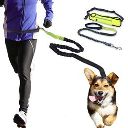 Dog Collars Leashes Dog Leash with Belt Bag Running Jogging Pet Leash Elastic Dogs Harness Collar Adjustable Waist Dog Leashes Hands-Free 230512