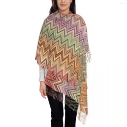 Scarves Boho Vintage Contemporary Tassel Scarf Women Soft Multicolor Modern Shawl Wrap Female Winter Fall