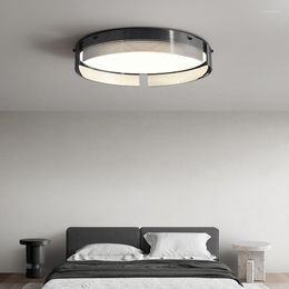 Ceiling Lights Simple Lamp Light Luxury Creative Personality Designer Study Restaurant Porch Bedroom Household