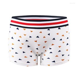 Women's Shorts 1PCS Women Les Cotton Boxer Briefs Tomboy Loose Over Size Mid Waist Knickers Simple Broadside Underpants For Lesbian