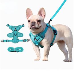 Dog Collars Leashes GIANTEX Reflective Nylon Pet Harness Leash Set Training Walking Leads for Small Cat Dogs Harness Collar Adjust Leashes Set 230512