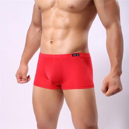 Underpants Men Boxers Ice Silky Underwear Male Sexy Ultra-Thin Men's Cuecas Tight Boxer Shorts Nightwear