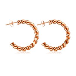 Women's Simple Style C Earrings Stainless Steel Twist Rope Wire Hoop Earrings For Gifts 4*30mm n279