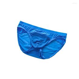 Underpants Mesh Penis Pouch Briefs Men Sexy Underwear Soft Panties Breathable High Elastic Man Bulge KnickersUnderpants