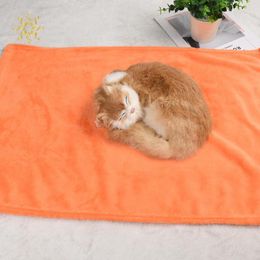 Cat Beds 2023 Blanket (50 X 70cm) Coral Fleece Blankets Warm Fluffy Reversible Microfiber Solid For Bed And Couch Pet Rug