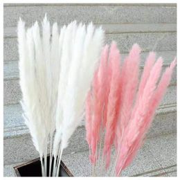 Decorative Flowers 15PCSNatural Pampas Grass Fluffy Small Reeds Bouquet Boho Living Room Decoration Wedding Artificial For Cemetery