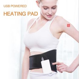 Heaters USB Plug Battery Powered Medical Heat Therapy Waist Warmer Belt Electric Heating Pad Belt for Back Pain Relief 3 Heat Setting