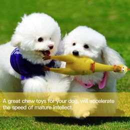 Toys 3pcs/set Pet Toy Food Leakage toy Teeth Cleaning Screaming Chicken Creative Tricky Venting Squeaky Dog Cat Interactive Pet Items